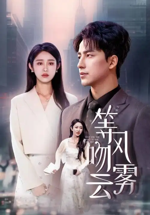 无声证词律政悬疑热播电视剧全集